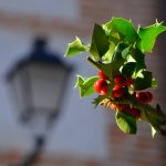 Navidad Complutense Navidad Complutense