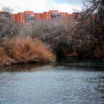El Henares hacia Nuevo Alcalá