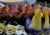 Alcalá busca el mejor plato de 2026: abierto el plazo para participar en el XII Certamen Alcalá Gastronómica