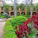 Patio florido de la Facultad de Filosofía en Alcalá de Henares Patio florido de la Facultad de Filosofía en Alcalá de Henares