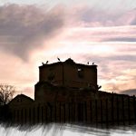 Cigüeñas al atardecer de los primeros dias de junio