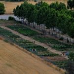 Huertos urbanos ecológicos en la Isla del Colegio