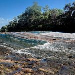 Piden limpieza, zonas de pesca y quioscos de verano en el Henares a través de change.org