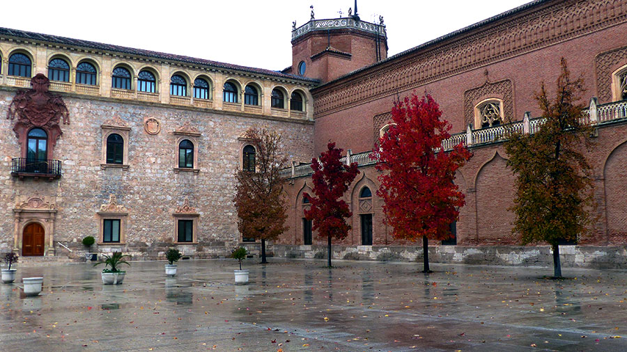 Colores de otoño en Palacio