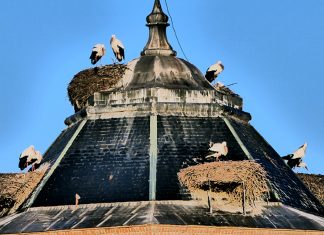 Dia de Reyes en la Cúpula del M.A.R