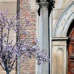 Primera floración de prunus en la calle Libreros