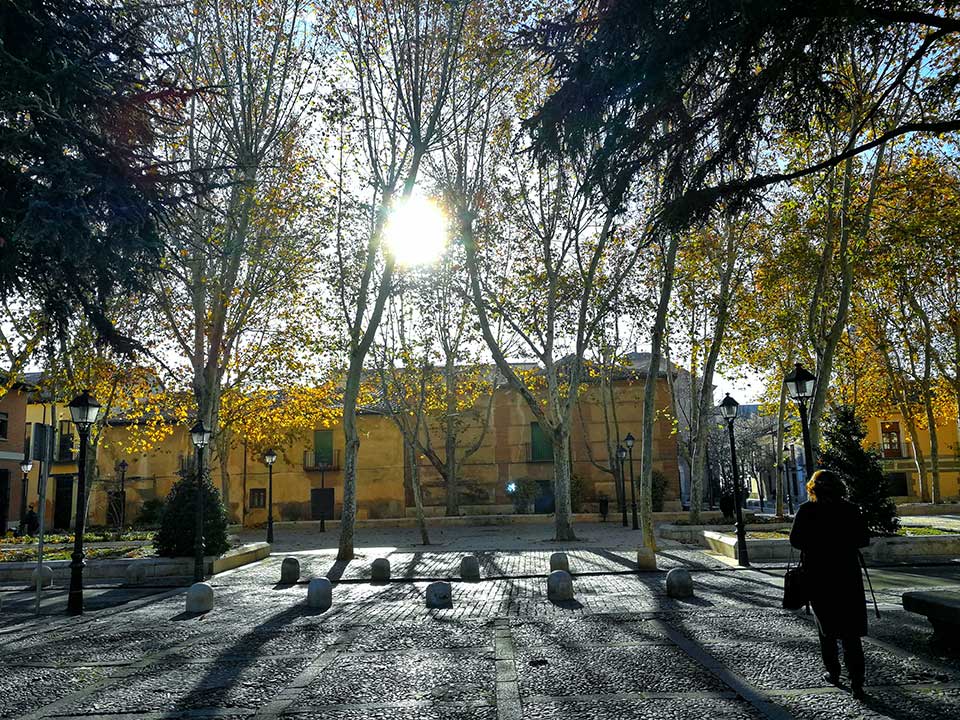 Fin de otoño en la Plaza de Palacio
