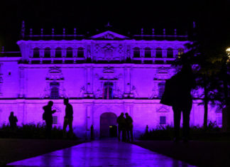 Ecos violetas del Día Internacional para la Eliminación de la Violencia contra la Mujer Ecos violetas del Día Internacional para la Eliminación de la Violencia contra la Mujer