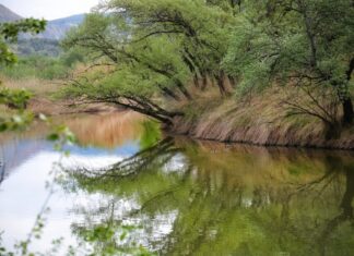 El rio Henares por primavera