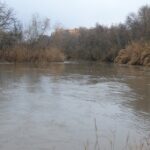 El embalse de Beleña roza el 85 % de capacidad y el río Henares entra en nivel naranja en Alcalá de Henares tras intensas lluvias