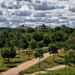 El Gran Parque de Espartales Xº Aniversario