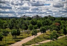 El Gran Parque de Espartales Xº Aniversario