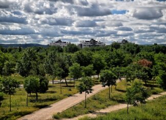El Gran Parque de Espartales Xº Aniversario