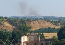 «Los parajes naturales alcalaínos, vulnerables ante los incendios forestales»