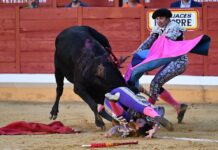 Oreja para Nacho Torrejón y percance de Rafael de la Cueva en la novillada de Alcalá
