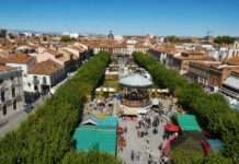 Vista de la Plaza de Cervantes desde la torre de Santa María Vista de la Plaza de Cervantes desde la torre de Santa María